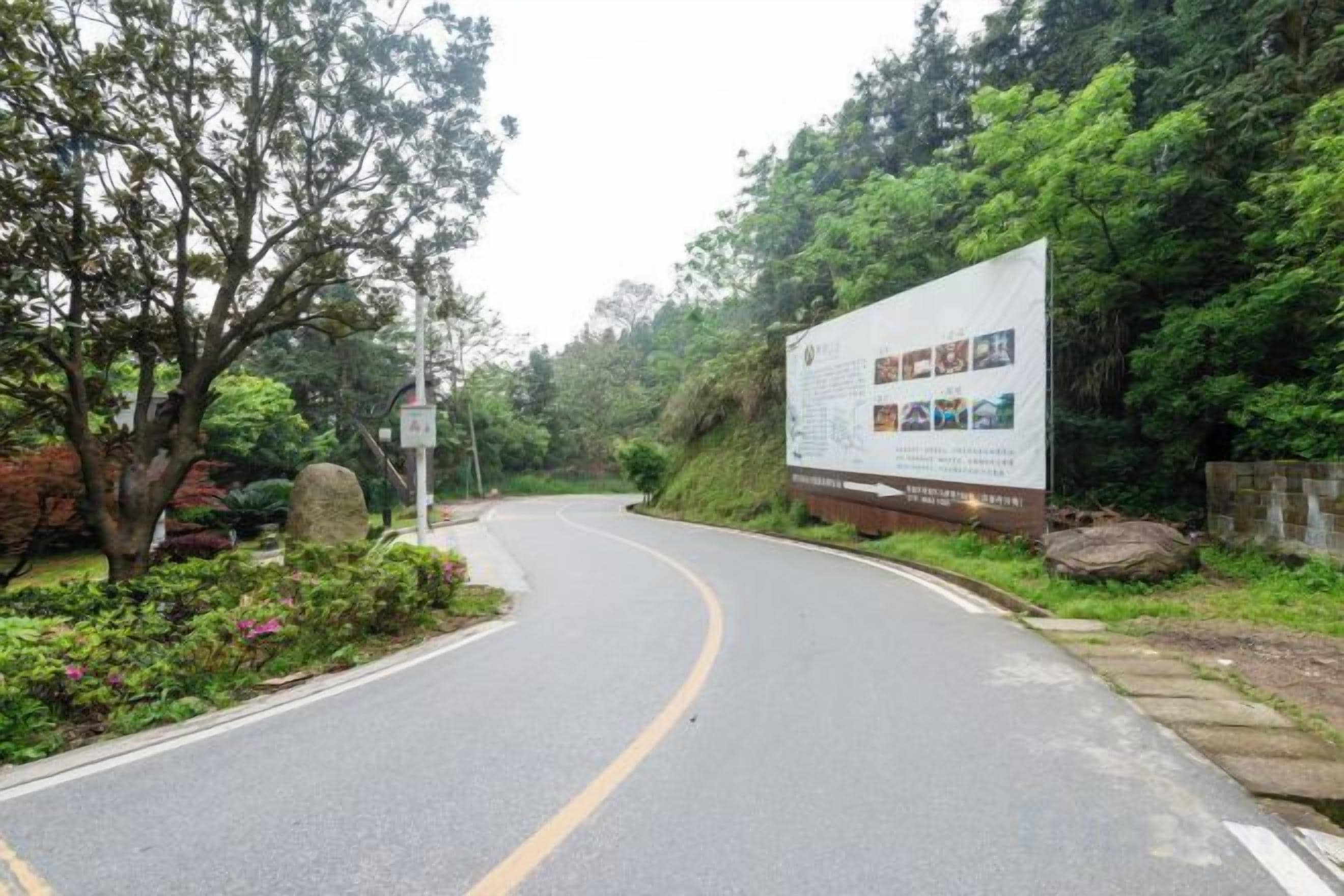 A road curving through a wooded area with a large informational sign on the right.