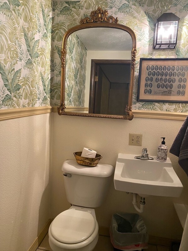 A bathroom with a toilet, sink, and a framed mirror. - Completely Remodeled Lake View House-Slip Included (Shell Knob)