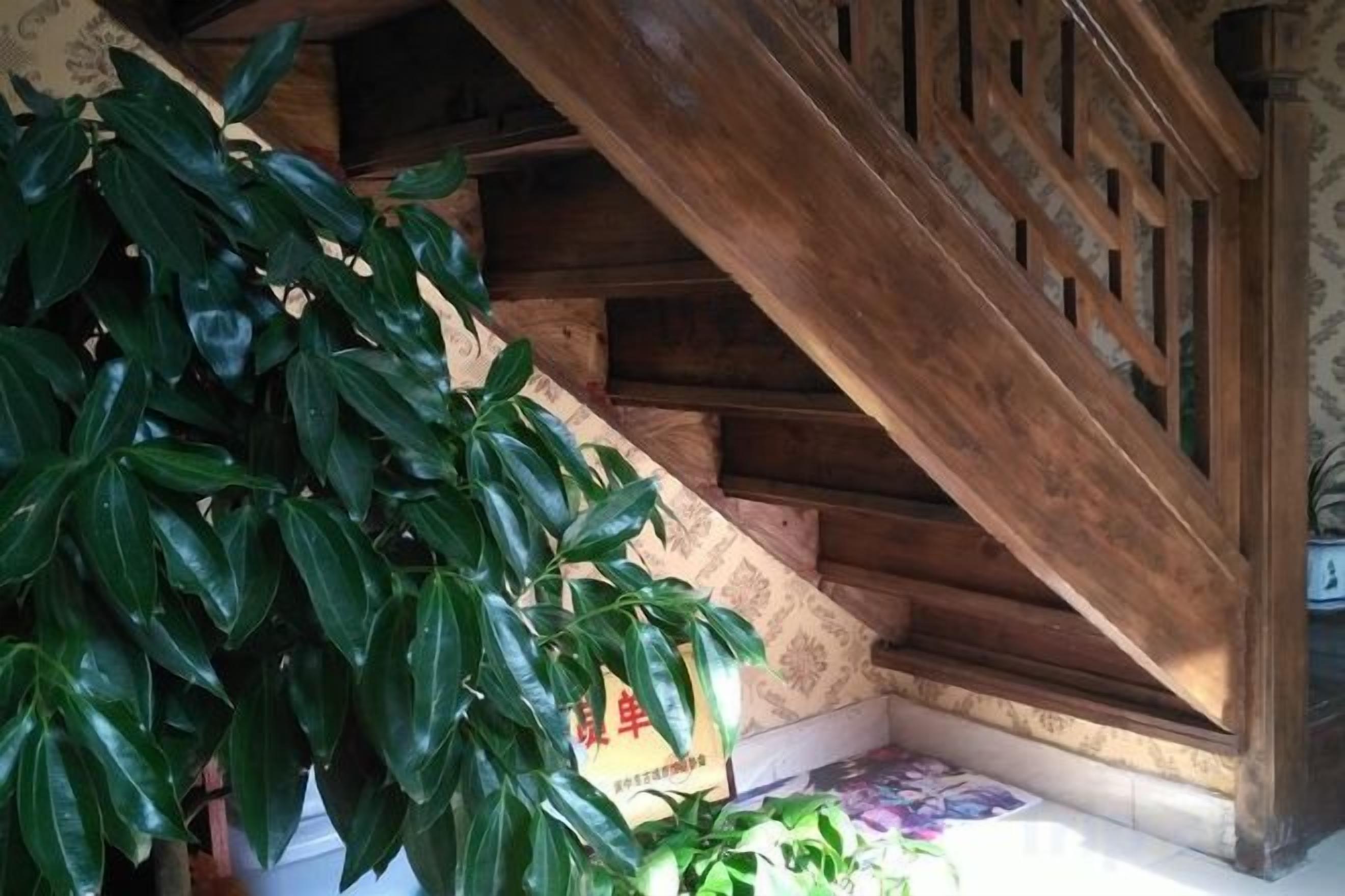 Una escalera de madera con barandilla, una planta verde y una pared con diseño.