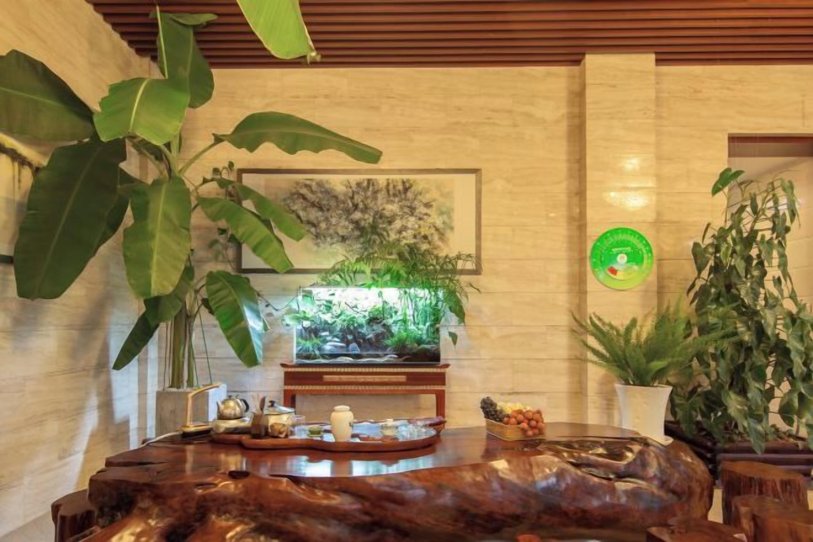 Un área de recepción con un mostrador de madera, una planta grande en maceta, un acuario montado en la pared y un cuadro enmarcado.