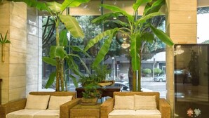 Um hall com sofás de vime, grandes plantas em vasos e vista para a rua.