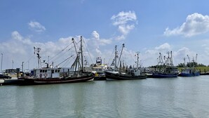 A harbor with several fishing boats docked. - Ferienhaus in Nessmersiel, Deich- und Inselblick, Glasfaser (Dornum)