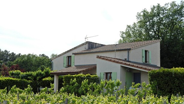 Une maison à deux étages, avec un toit en tuiles, des volets verts et un vignoble au premier plan.
