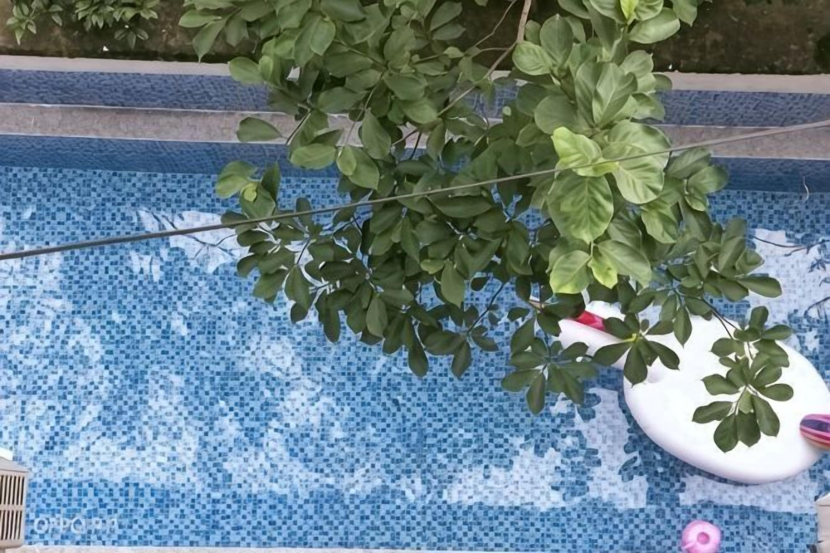 室外游泳池