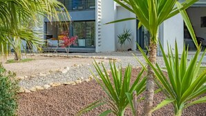 A modern building with a gravel garden, palm trees, and a variety of plants. - La Provence et ses cigales (Ceyreste)