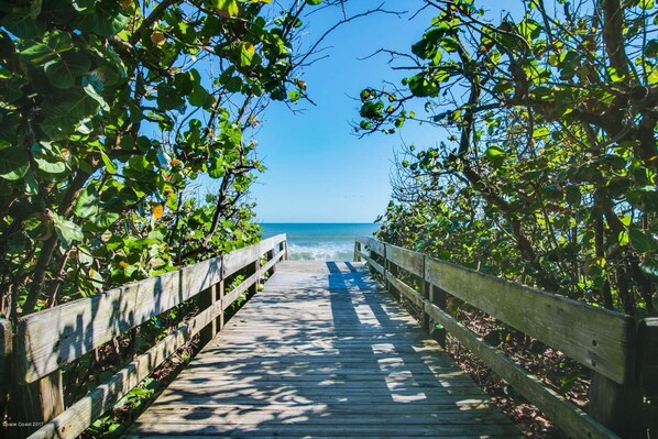 Un muelle de madera que conduce a una playa, rodeado de abundante vegetación.