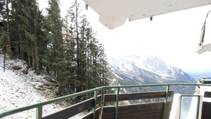 Un escalier en bois, doté de rampes en métal, mène à une plateforme d’observation d’où l’on peut admirer un paysage montagneux enneigé.