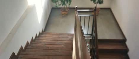A wooden staircase with a handrail, leading to a landing with two potted plants.