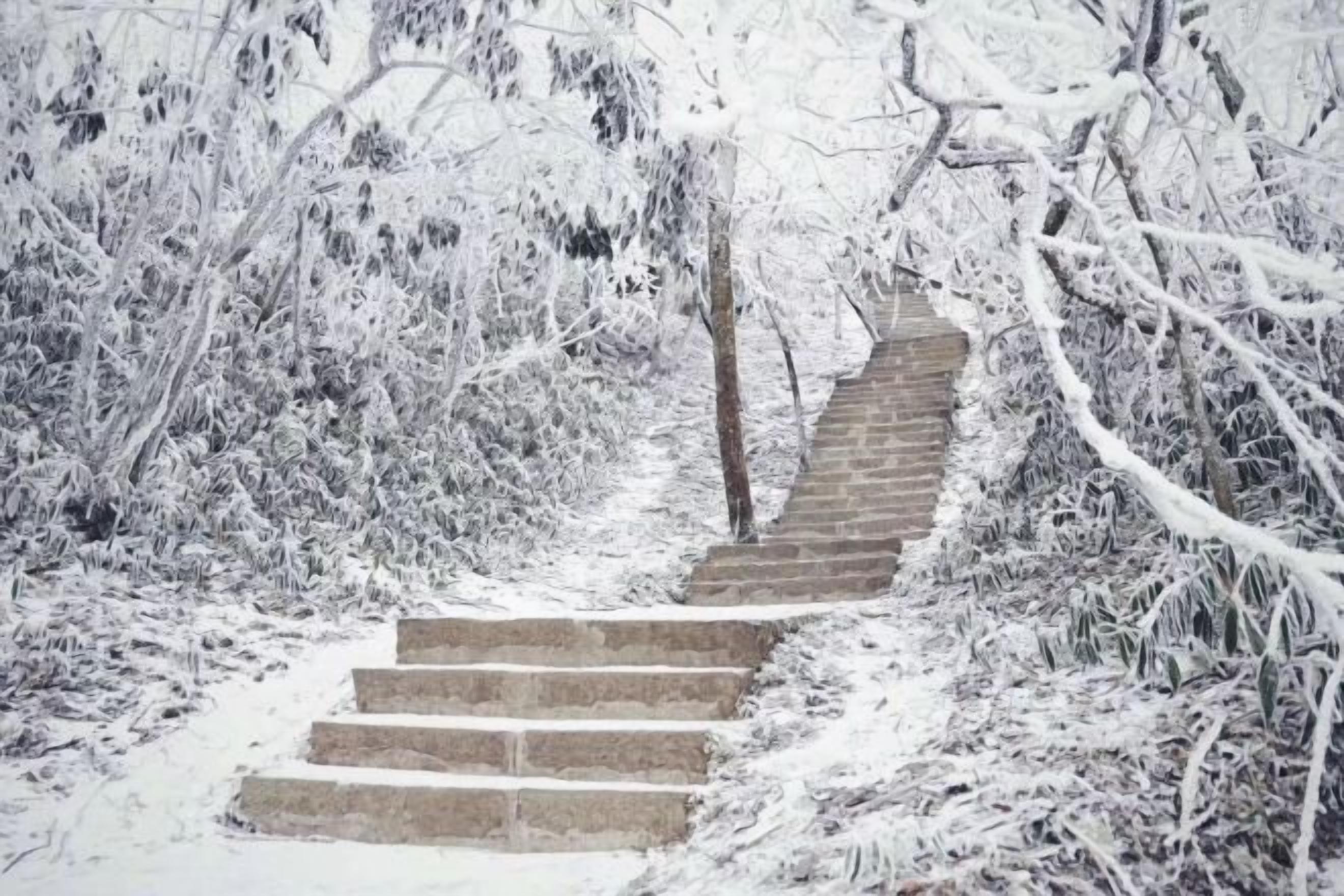 Khuôn viên nơi lưu trú