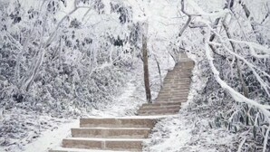 A snow-covered stone staircase leading up a hill, surrounded by trees and bushes.