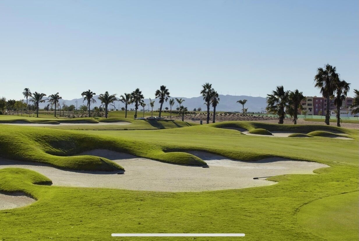 Um campo de golfe com bunkers de areia, palmeiras e montanhas ao longe.