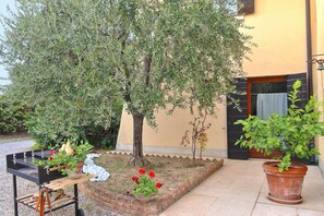 Terraza o patio