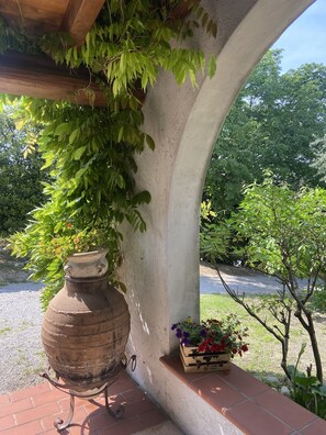 Detalle exterior