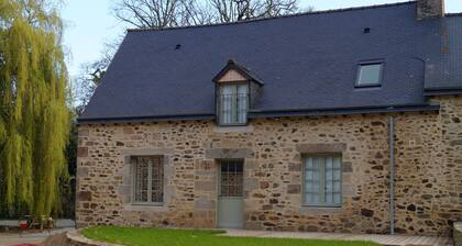 Les Anémones