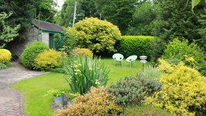 A garden with a stone building, various shrubs, and two white chairs. - Colourful Forest of Dean Pikehouse (Lydney)