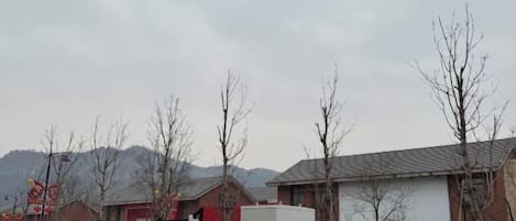 기타