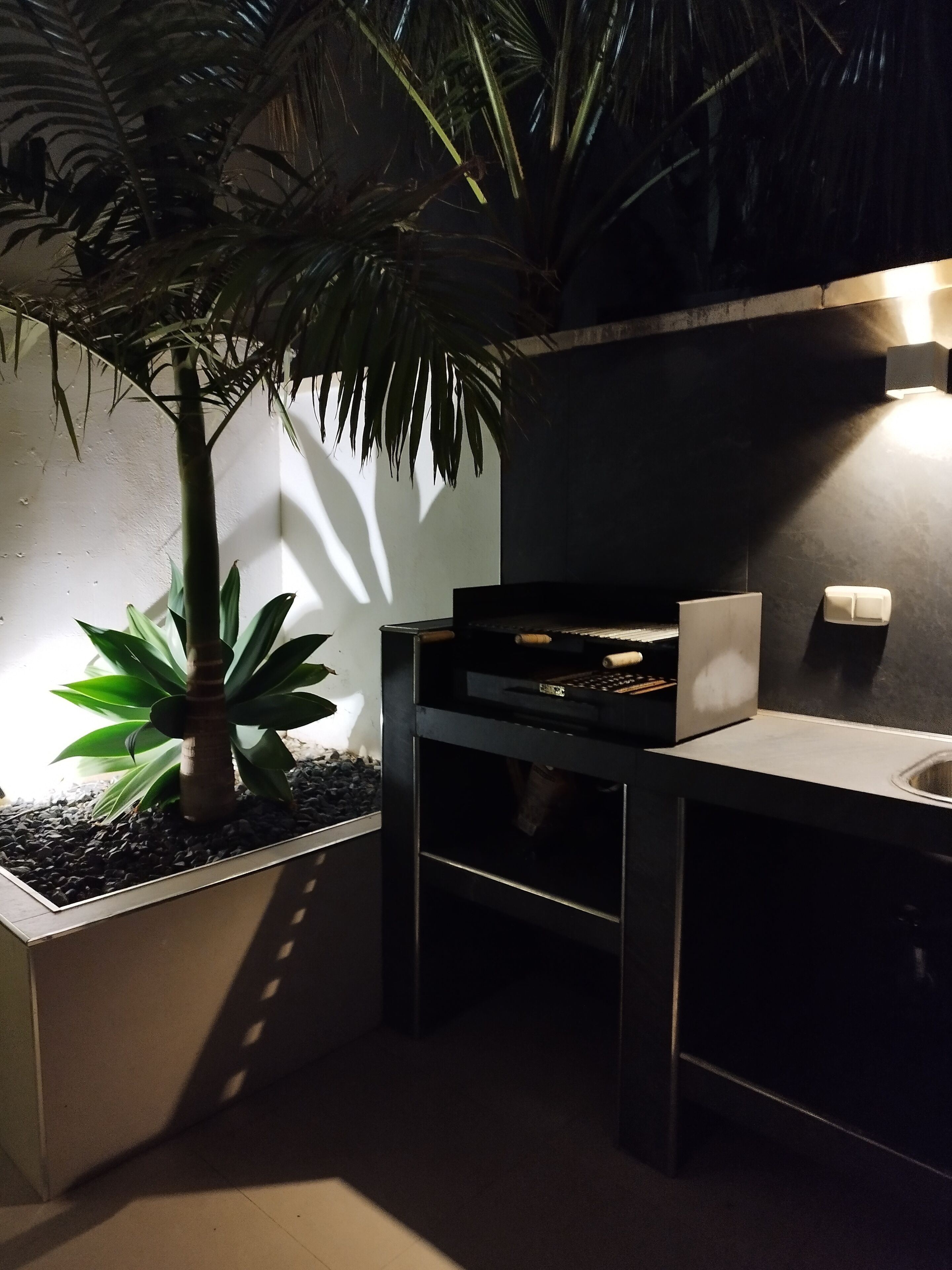 A modern kitchen with a built-in stove, a sink, and a countertop. There is a potted plant and a wall-mounted light fixture.