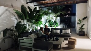 Un salon chaleureux avec un canapé, un pouf et une table basse, le tout agrémenté de grandes plantes vertes.