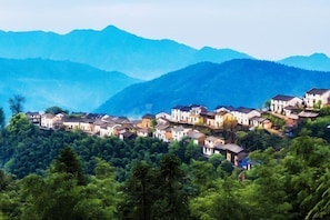 A hillside village with traditional houses, dense greenery, and mountains in the background. - Mulihong Yuanwei Inn (Xiuning)