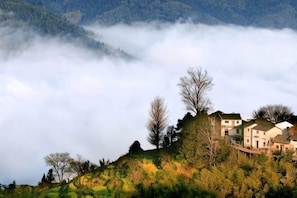 Miscellaneous - Mulihong Yuanwei Inn (Xiuning)