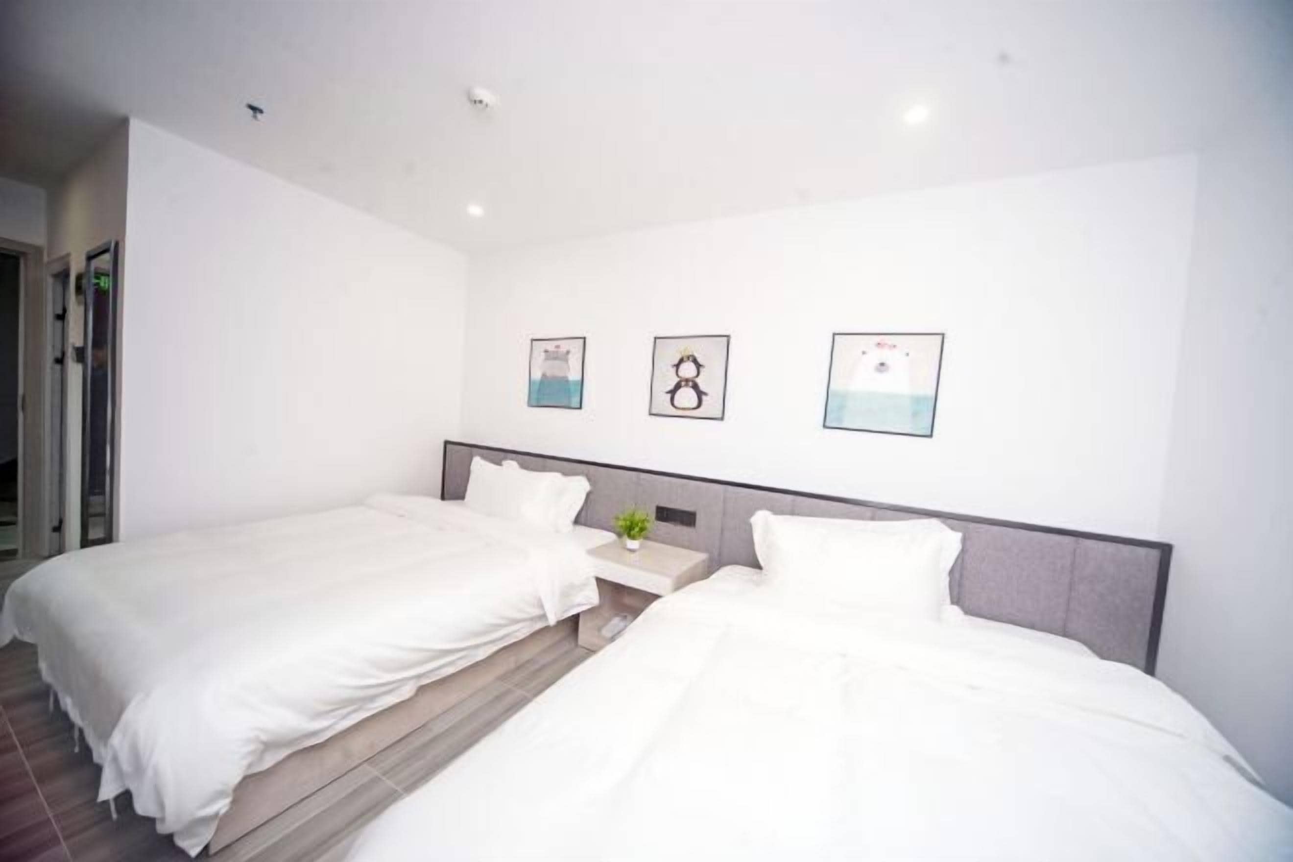 Une chambre d’hôtel avec deux lits simples, une petite table de chevet ornée d’une plante et trois tableaux encadrés accrochés au mur.