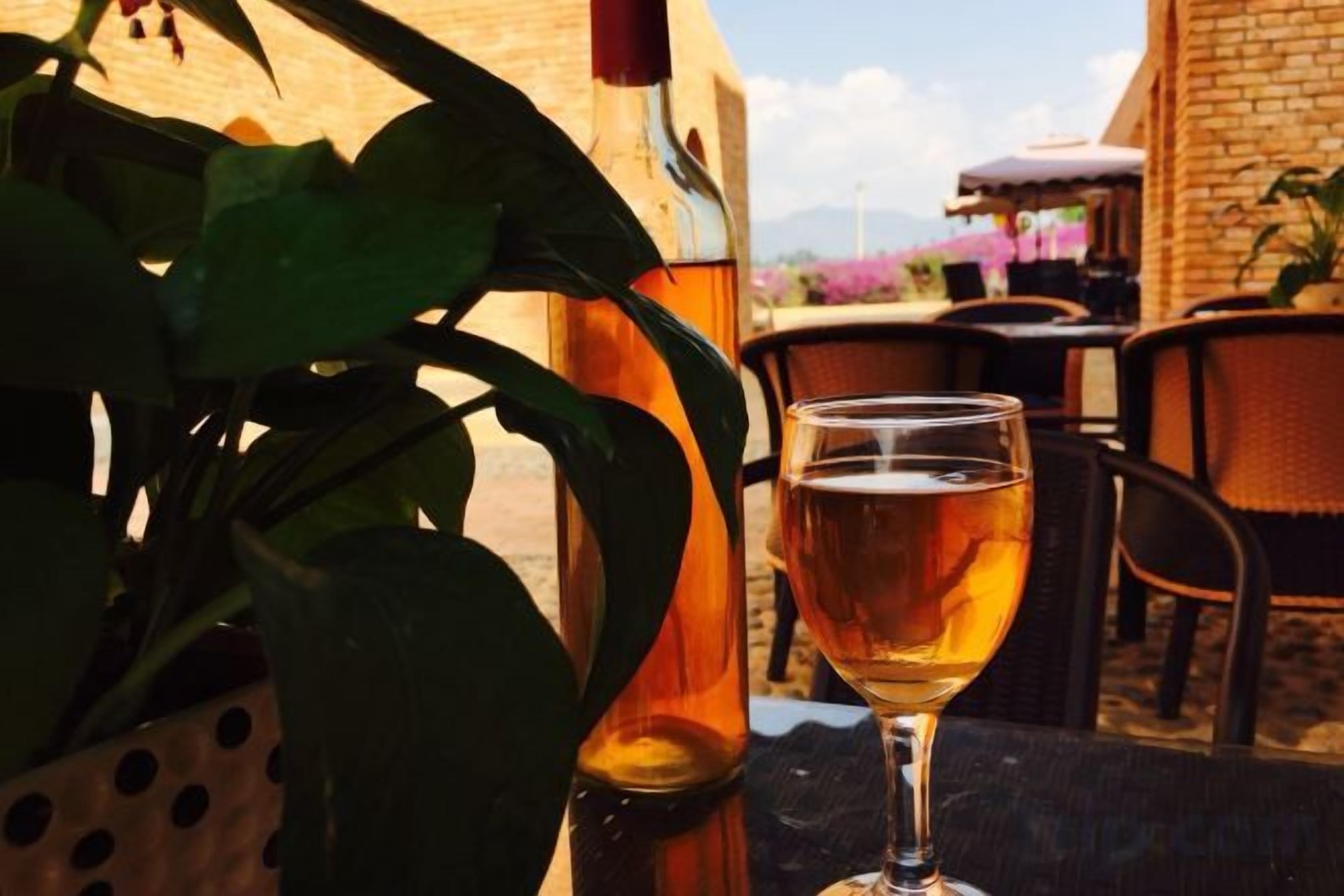 A glass of amber liquid, possibly wine, on a table with a potted plant and a bottle in the background.