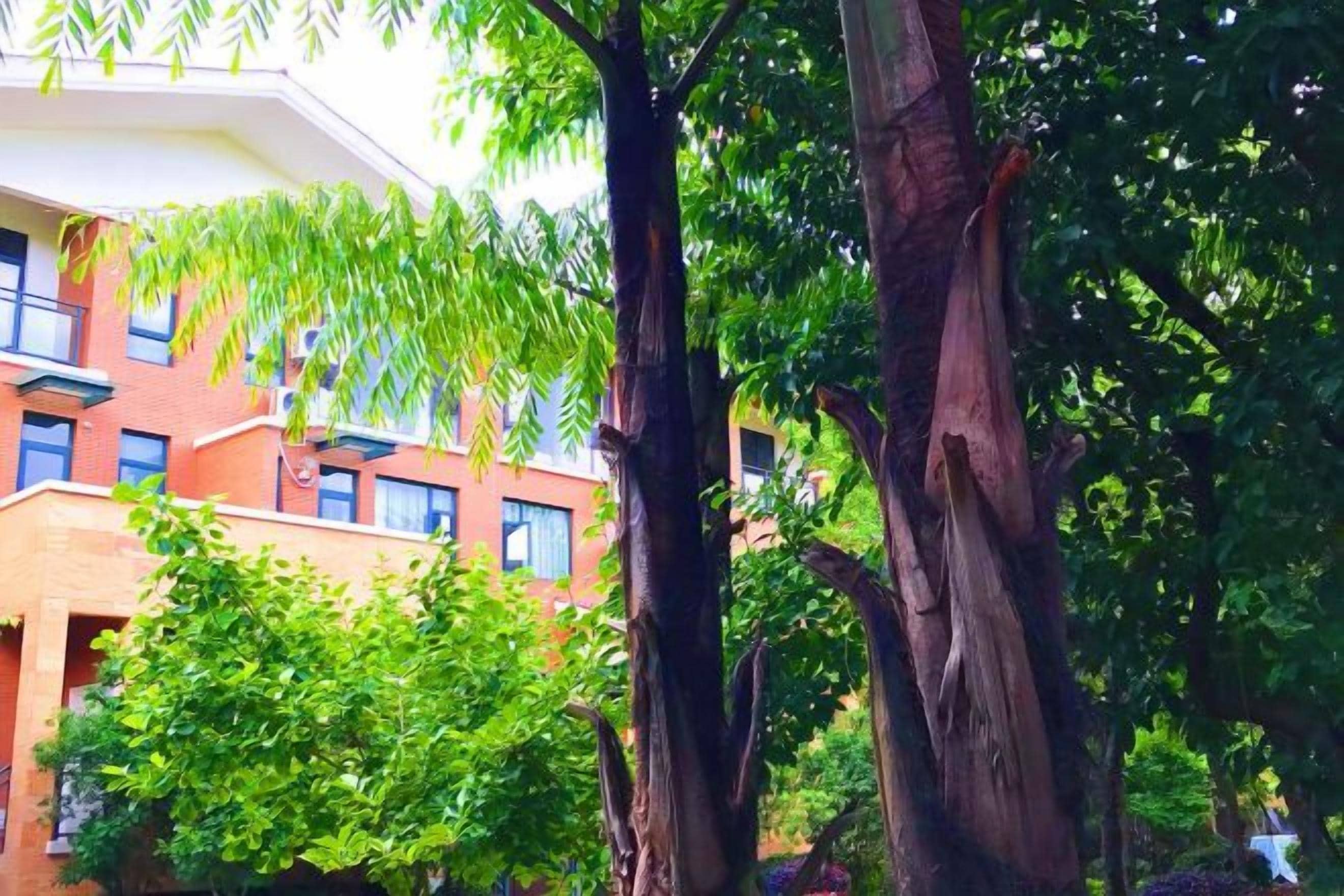 A building with a brick facade and multiple windows, surrounded by lush green trees.