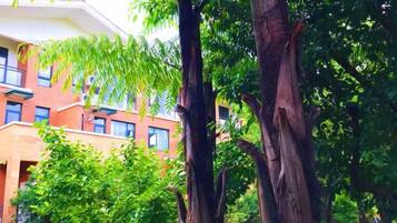 A building with a brick facade and multiple windows, surrounded by lush green trees.