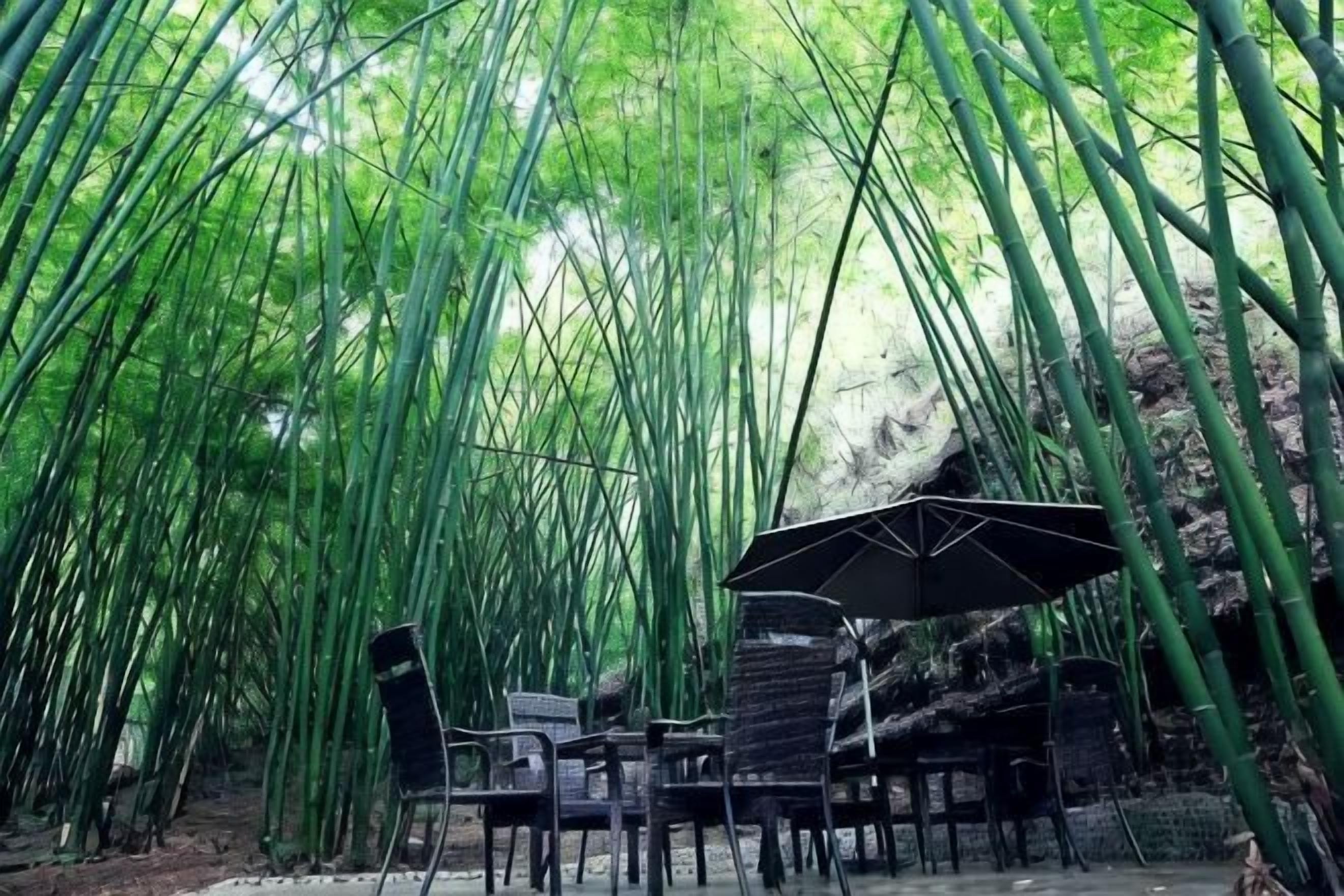 Khu ẩm thực ngoài trời