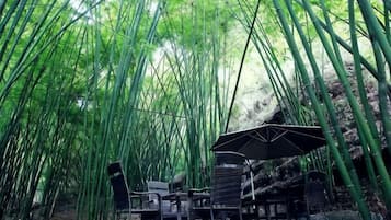 An outdoor seating area with tables and chairs, surrounded by tall bamboo plants.
