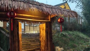 A wooden staircase leading to a thatched-roof structure with a stone lion statue at the base. - Mufu Leisure Mountian Resort (Muchuan)