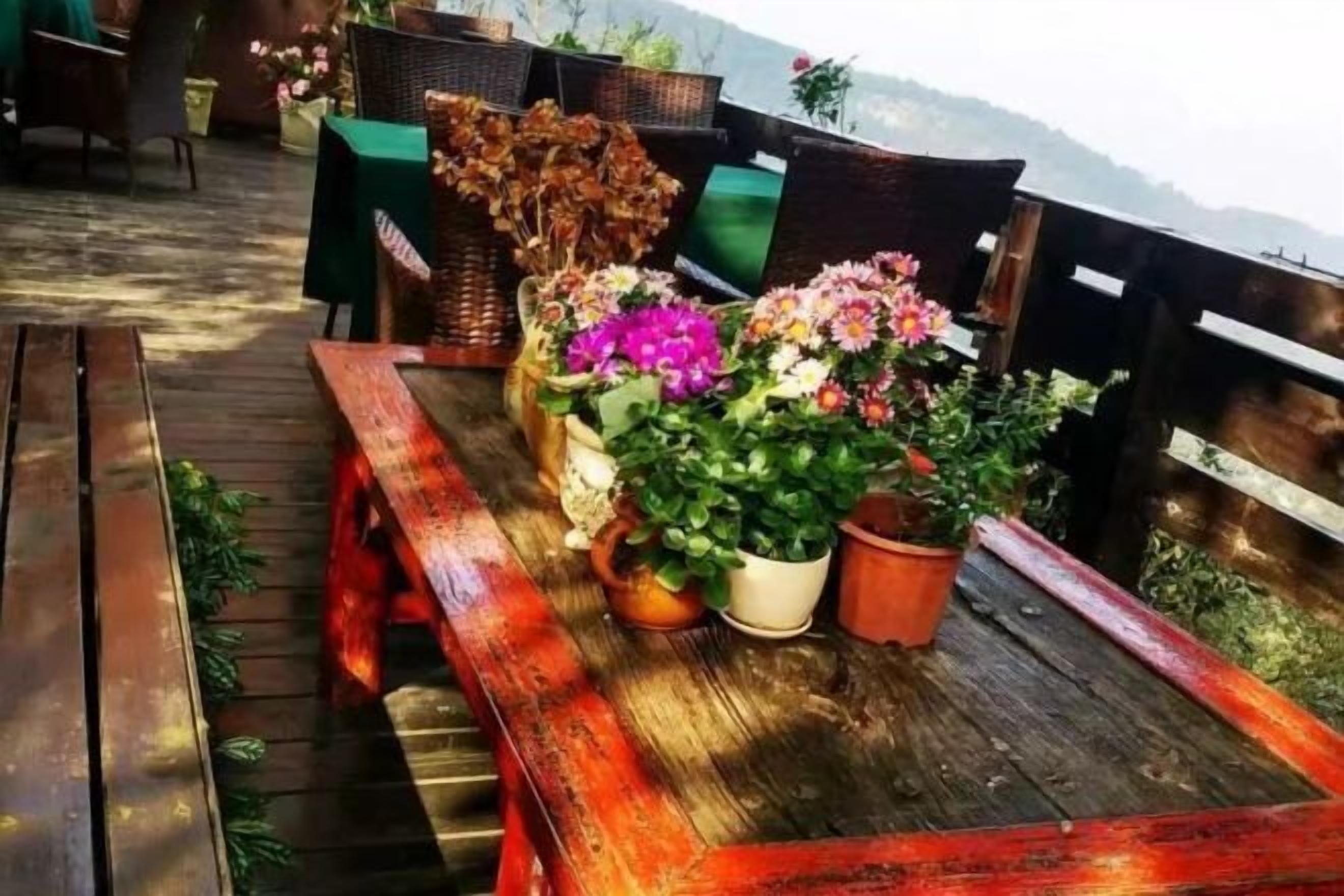 Um deck de madeira com um banco e plantas em vasos.