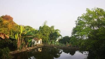 A tranquil pond with a small bridge and a gazebo.