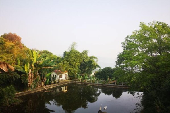 A tranquil pond with a small bridge and a gazebo. - Taole Forest Hostel (Chongqing)