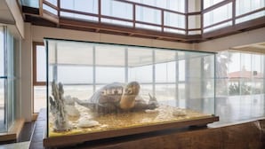 Et stort akvarium med glasfacade, beliggende i et rummeligt lokale med højt til loftet og store vinduer.