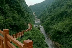 Une rivière traverse une vallée verdoyante, et un pont en bois enjambe ses eaux.