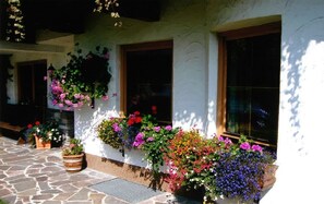 Detalle del exterior