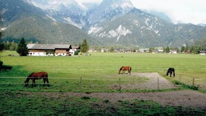 Un paysage rural avec un pré clôturé, des chevaux qui paissent et une chaîne de montagnes en arrière-plan.