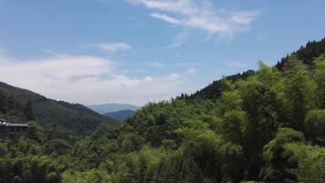Un paisaje montañoso con abundante vegetación y cielo despejado.
