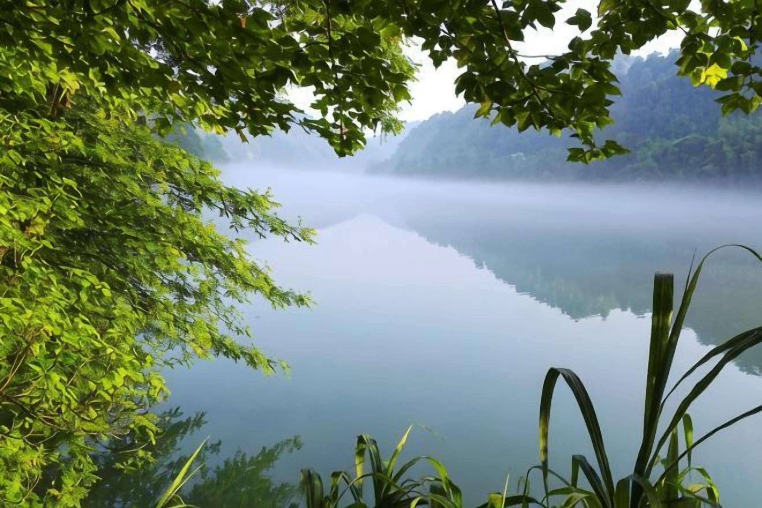 A serene lake with a forested foreground and a misty background.