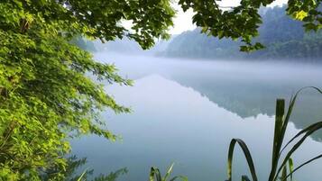 A serene lake with a forested foreground and a misty background.