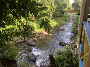 Un río serpentea por un área boscosa con rocas y follaje.