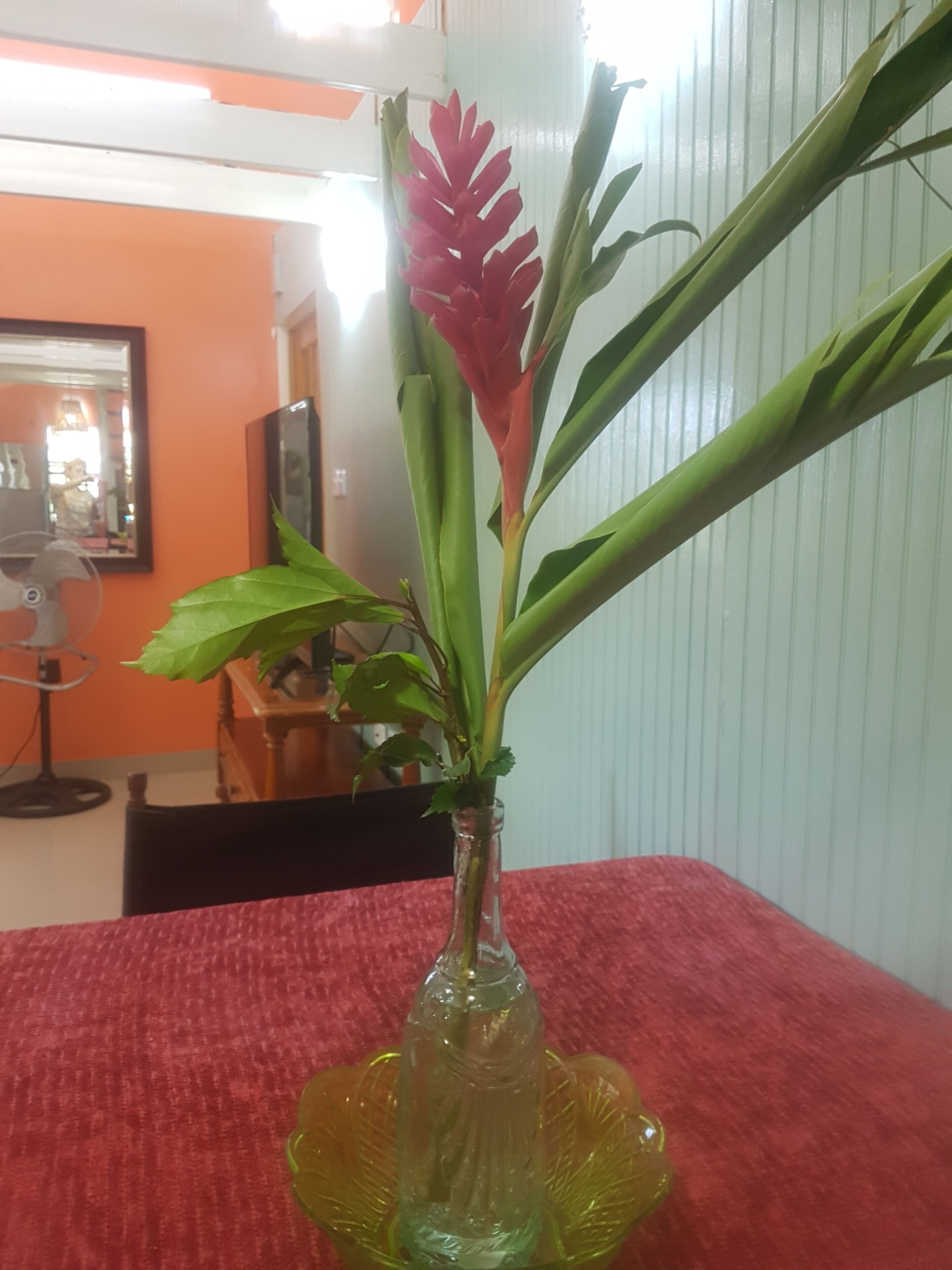 Un florero de vidrio con una planta sobre un mantel rojo.