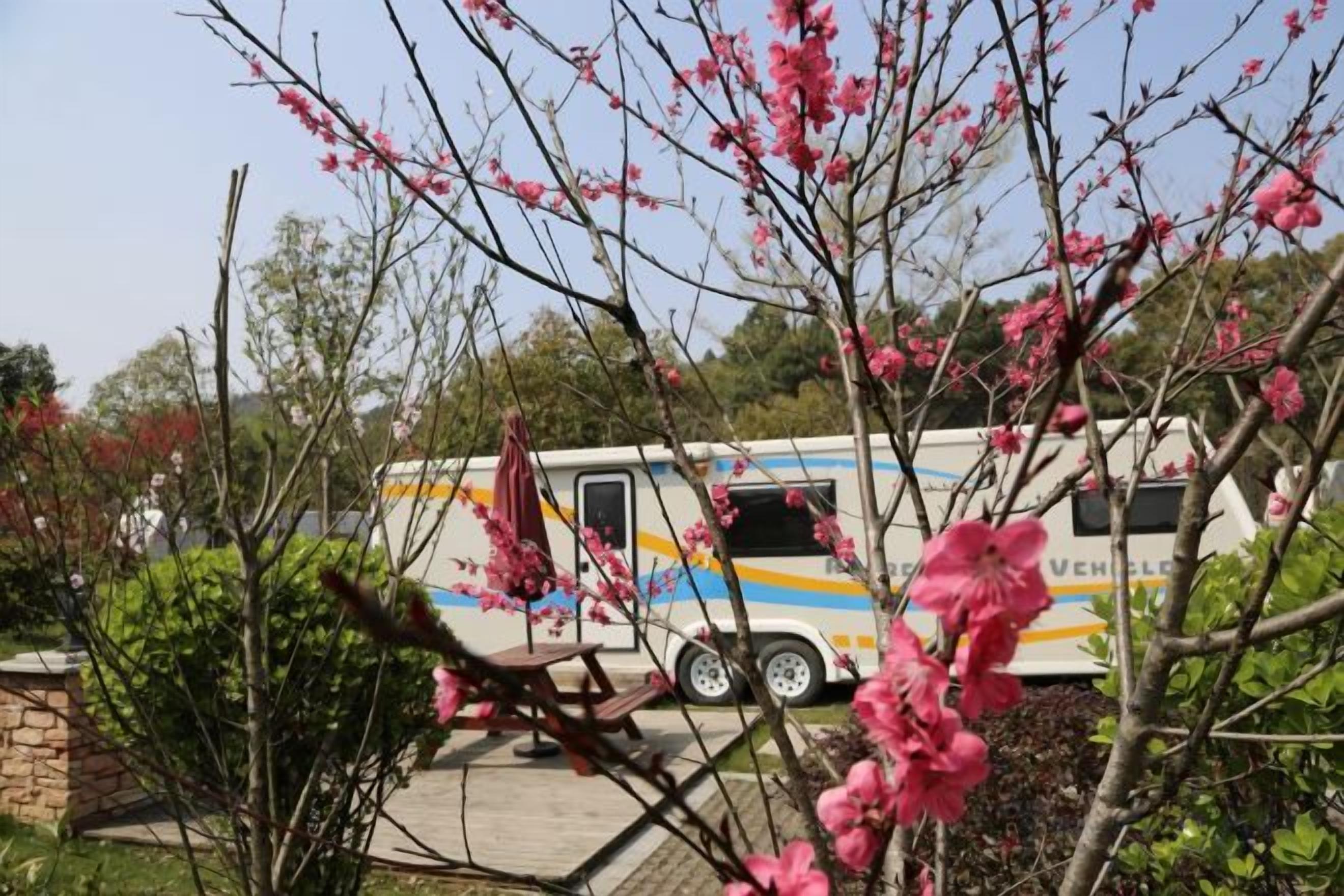 A bus parked in a garden with blooming flowers and a stone wall.