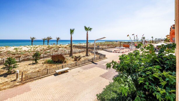 Un paseo marítimo frente a la playa, con palmeras, una zona arenosa y vistas al océano.