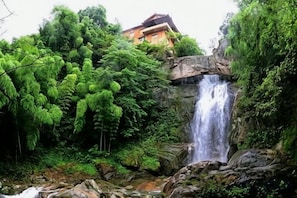 Ein Wasserfall, umgeben von dichtem Grün, mit einem Gebäude im Hintergrund.