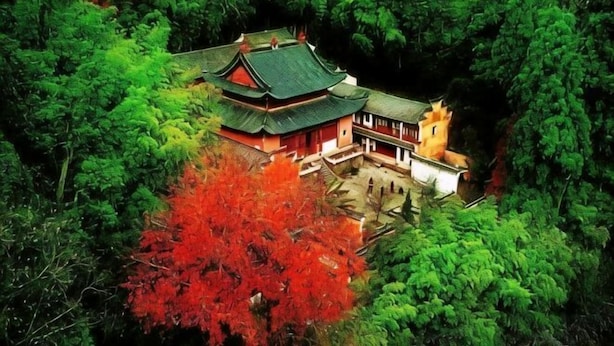 A traditional Japanese building surrounded by dense forest. - Yuyun Hostel (Tiantai County)
