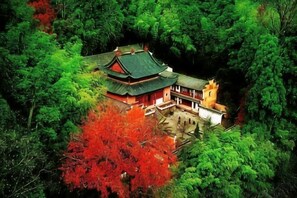 A traditional Japanese building surrounded by dense forest. - Yuyun Hostel (Tiantai County)