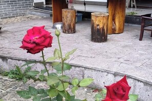 外観の詳細