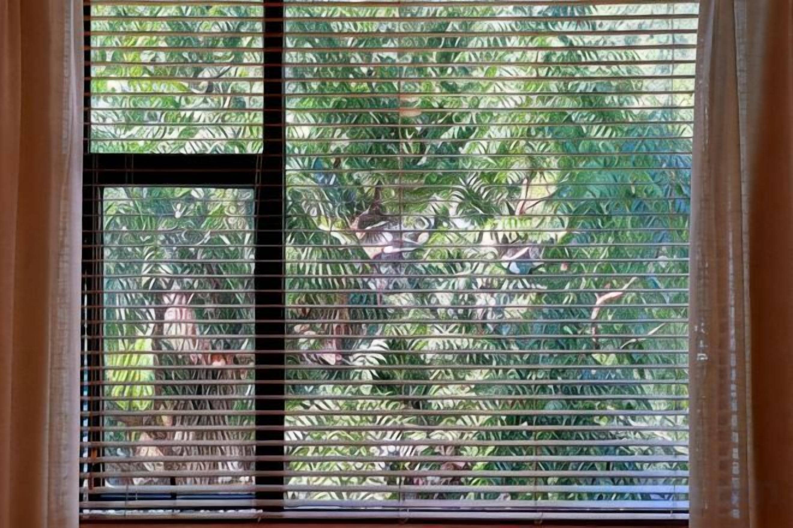 A window with horizontal blinds partially open, allowing a view of greenery outside.